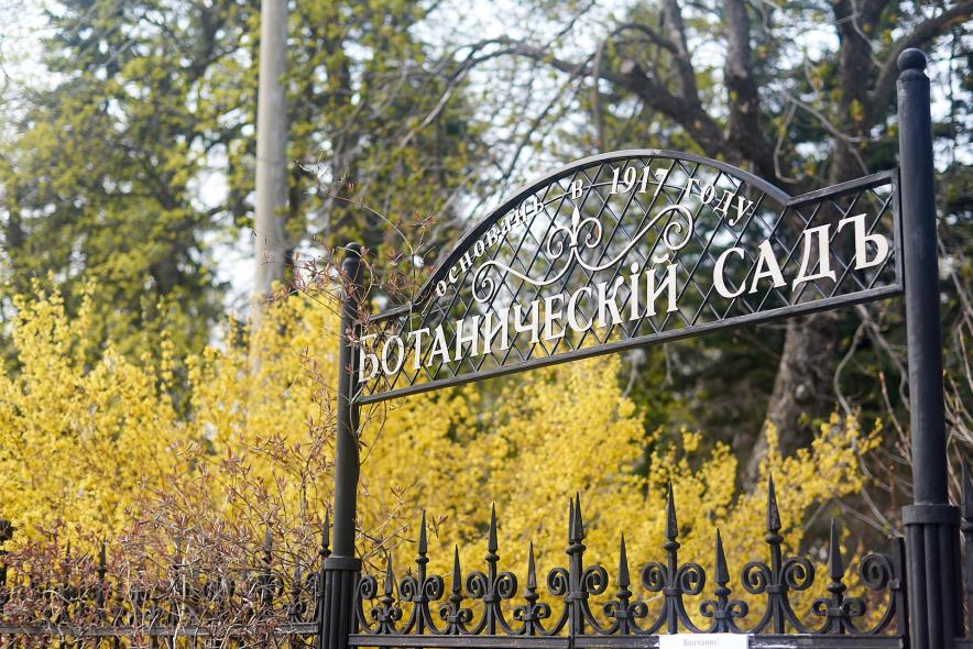 Ботанический сад