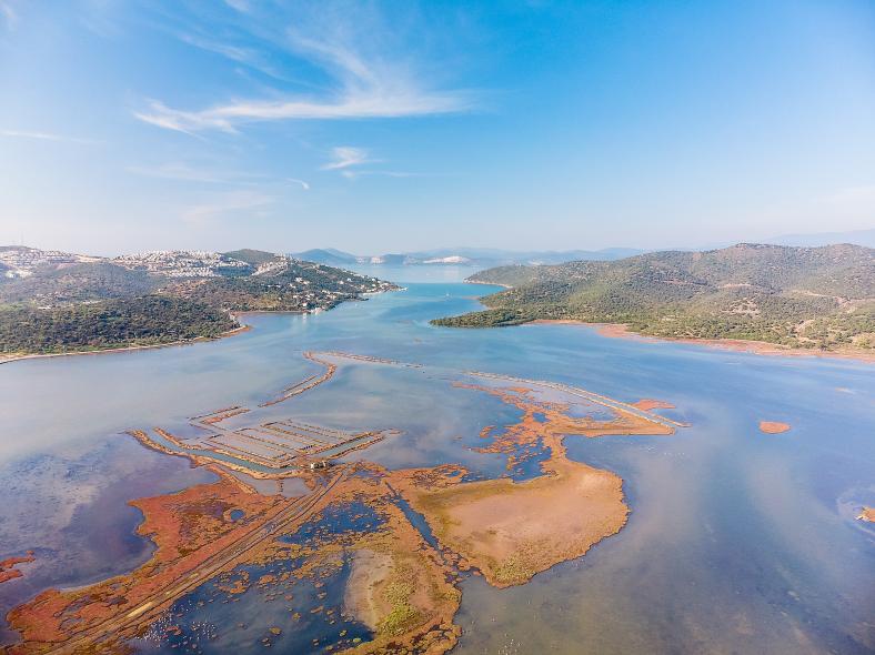 Bargilya, Boğazıcı