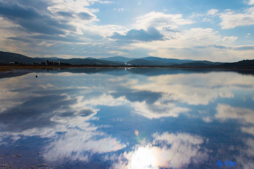 Bargilya, Boğazıcı