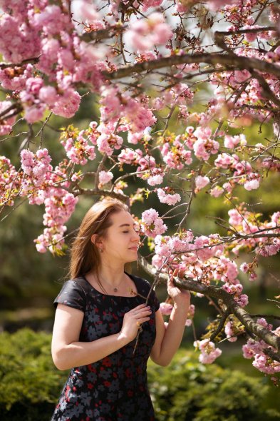 Японский сад