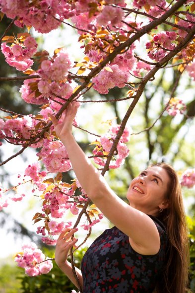 Японский сад