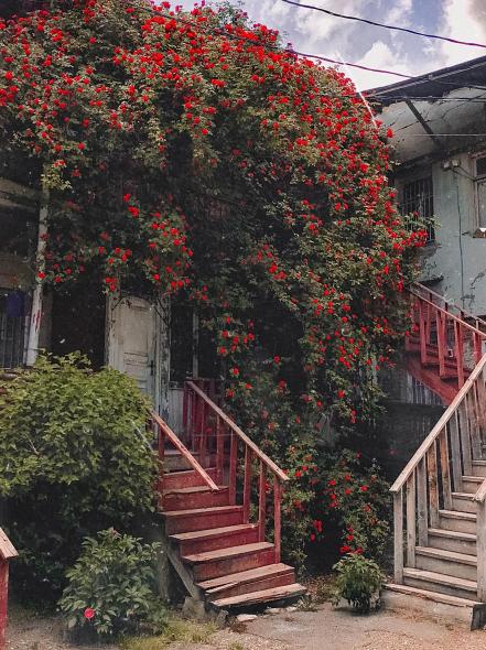 Инста Локация «Розовый домик»