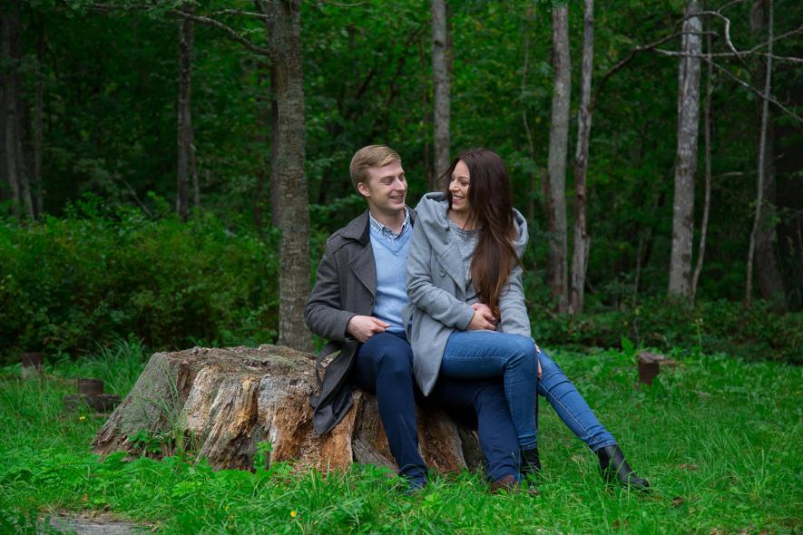 Место для наблюдения за птицами