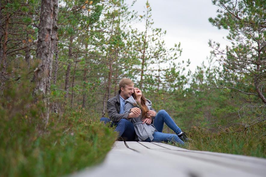 Место для наблюдения за птицами