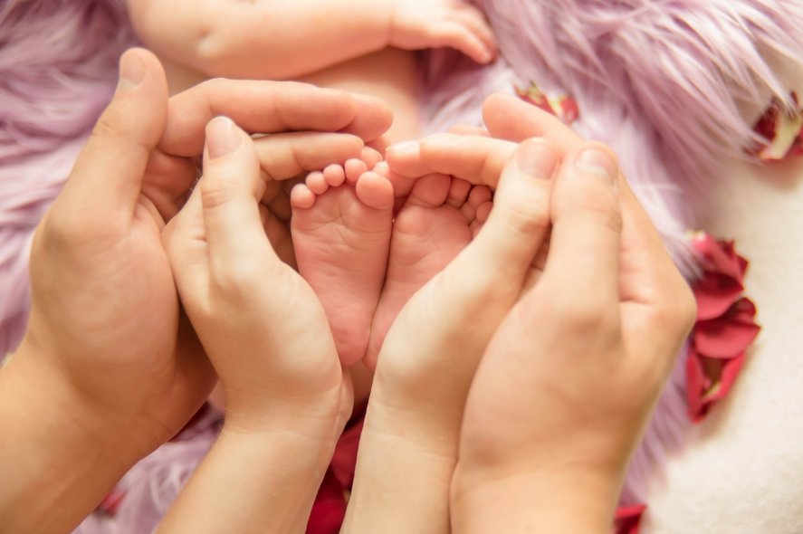 Домашняя фотостудия