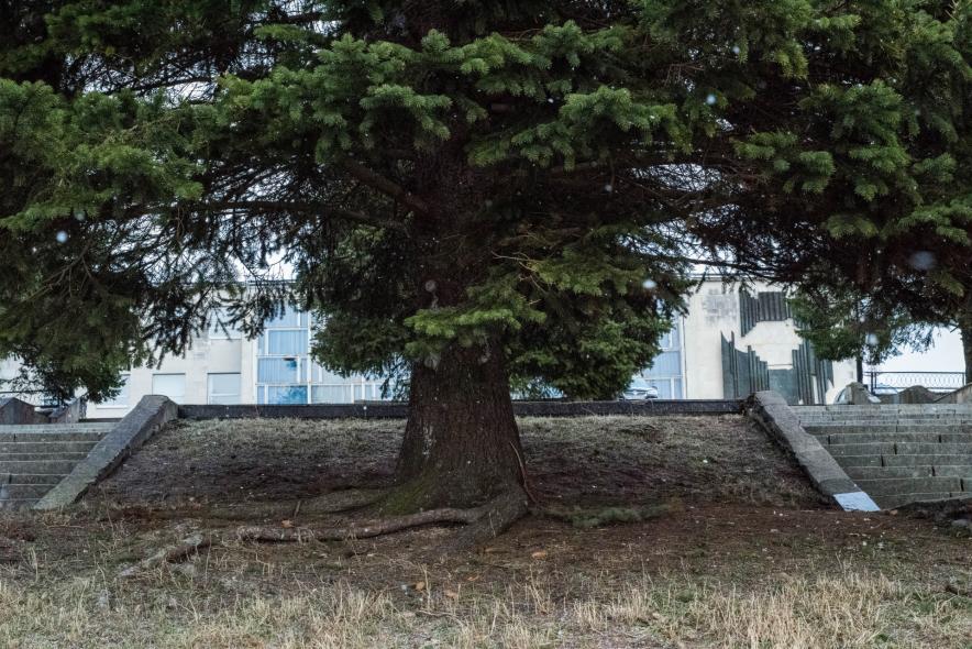 Дворец Культуры