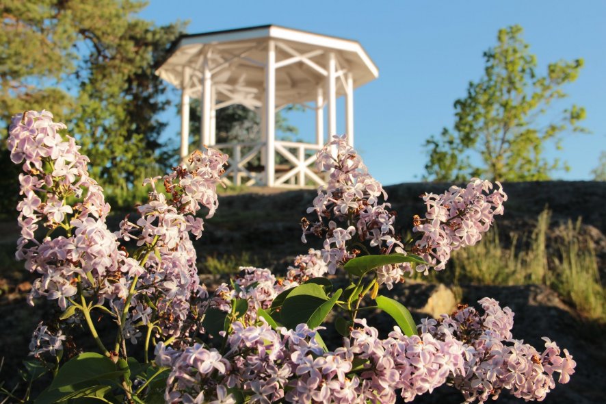 Парк Монрепо