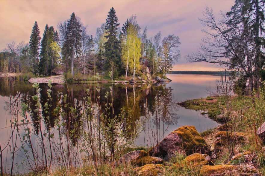 Парк Монрепо