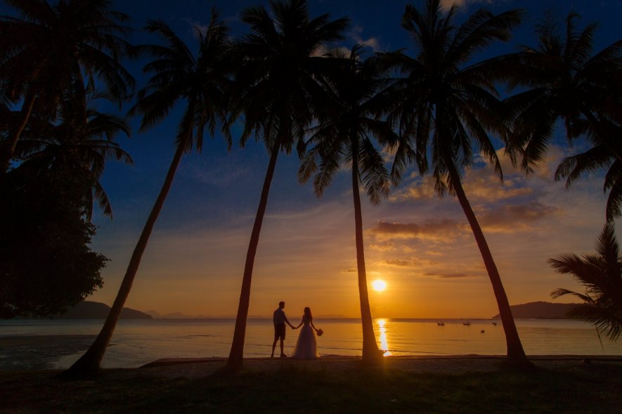 Пальмы на пляже