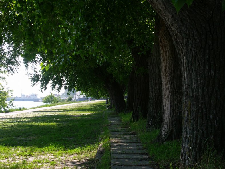 Пушкинская набережная 