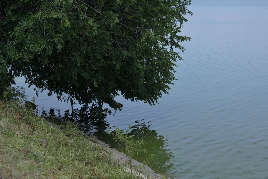 Пушкинская набережная 