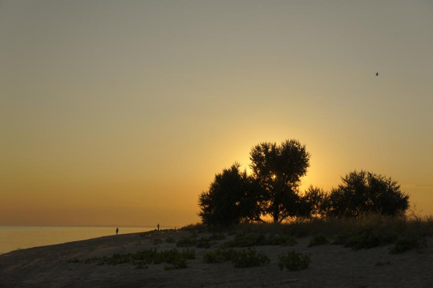 Беглицкая коса 