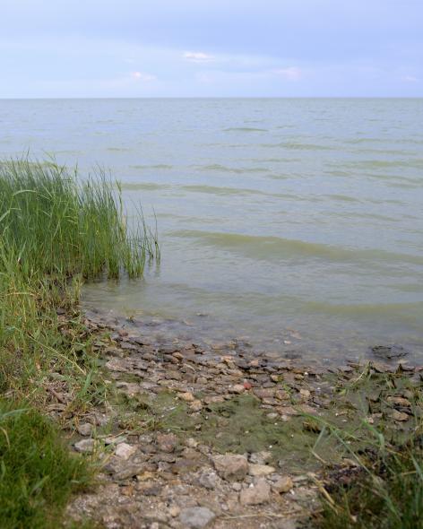 Беглицкая коса 