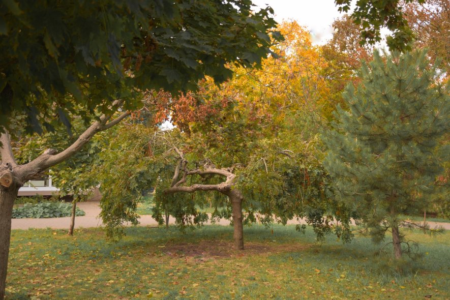 Октябрьская площадь 