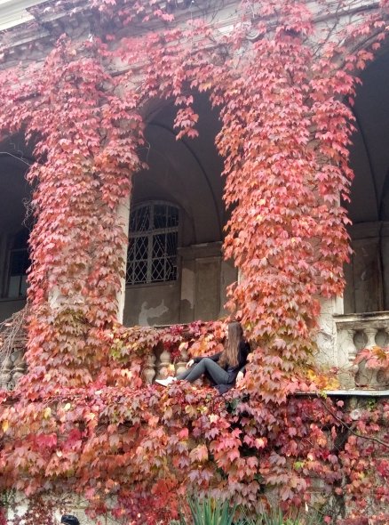 Санаторий Орджоникидзе