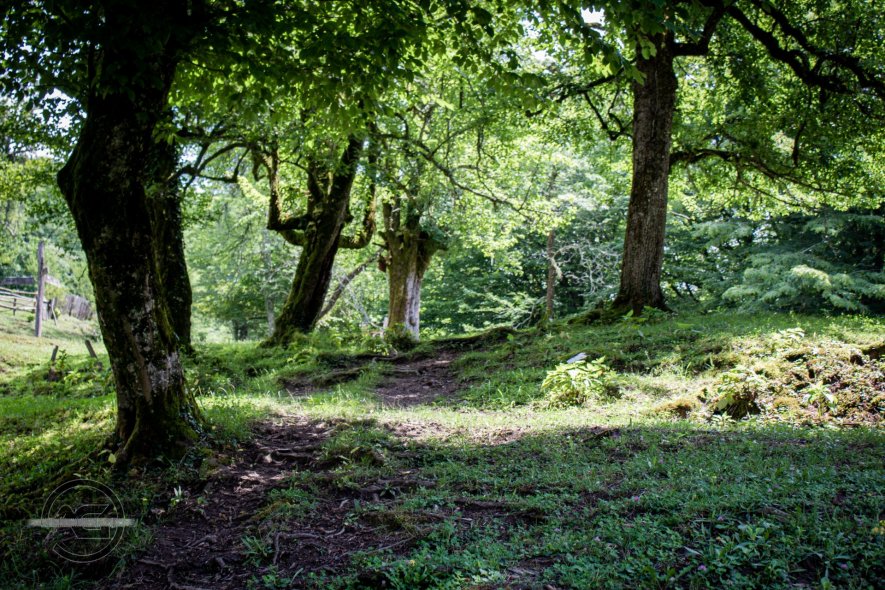 Верхний Ажек