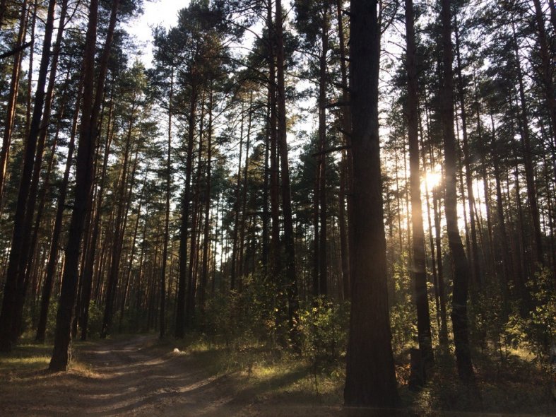 Озеро Святое в Шатуре