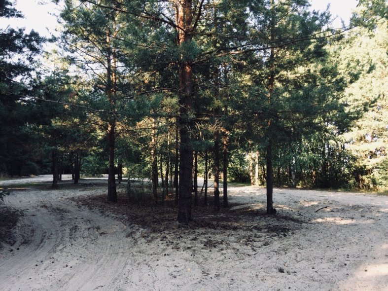 Озеро Святое в Шатуре