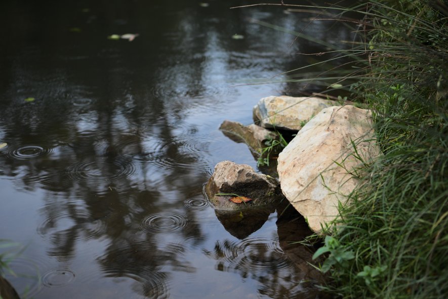 Парк вдоль реки Пегниц