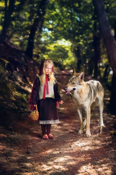 Лес возле Красного моста 