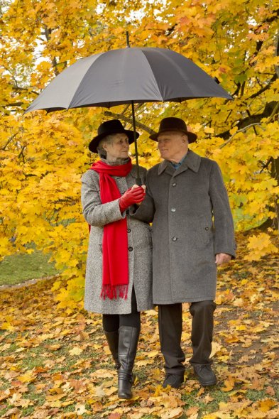 Парк  Killesberg