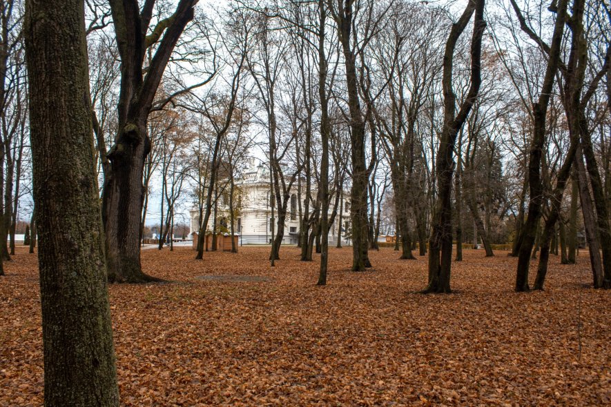 Историко-культурный музейный комплекс Усадьба Асеевых