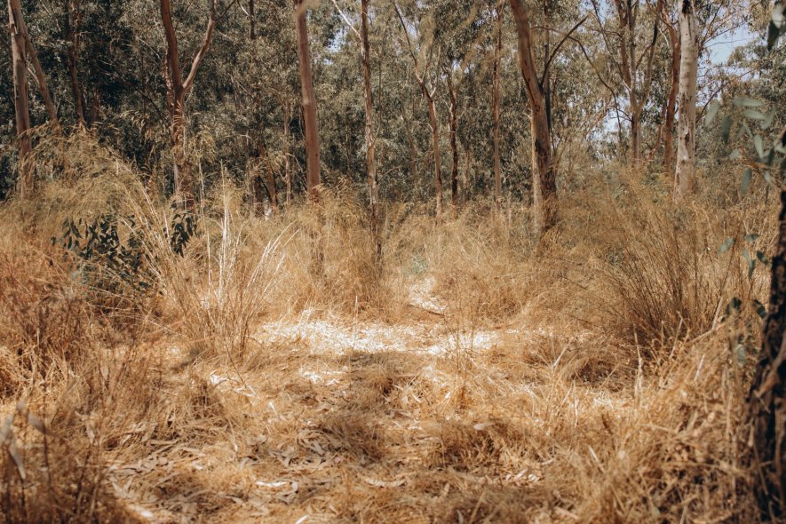 Unnamed Road Park