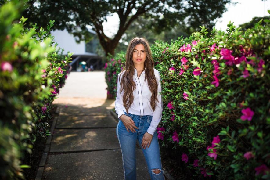 Парк Ибирапуэра, Parque Ibirapuera Conservação