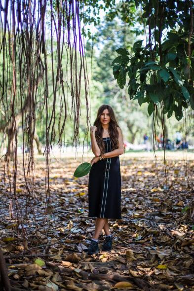 Парк Ибирапуэра, Parque Ibirapuera Conservação