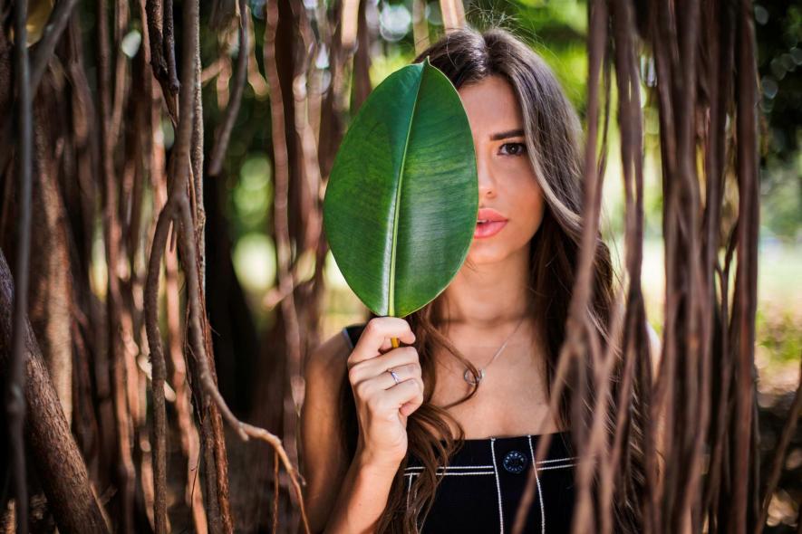 Парк Ибирапуэра, Parque Ibirapuera Conservação
