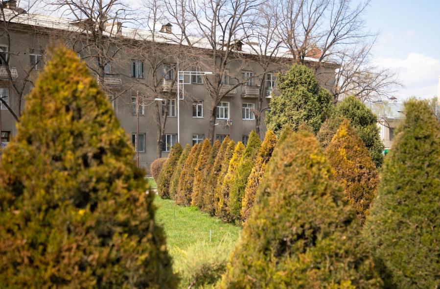 Кыргызская национальная филармония им. Т. Сатылганова
