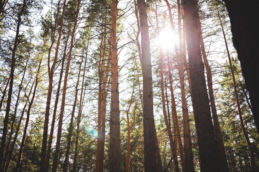 Первомайский парк культуры и отдыха