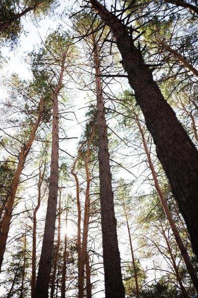 Первомайский парк культуры и отдыха