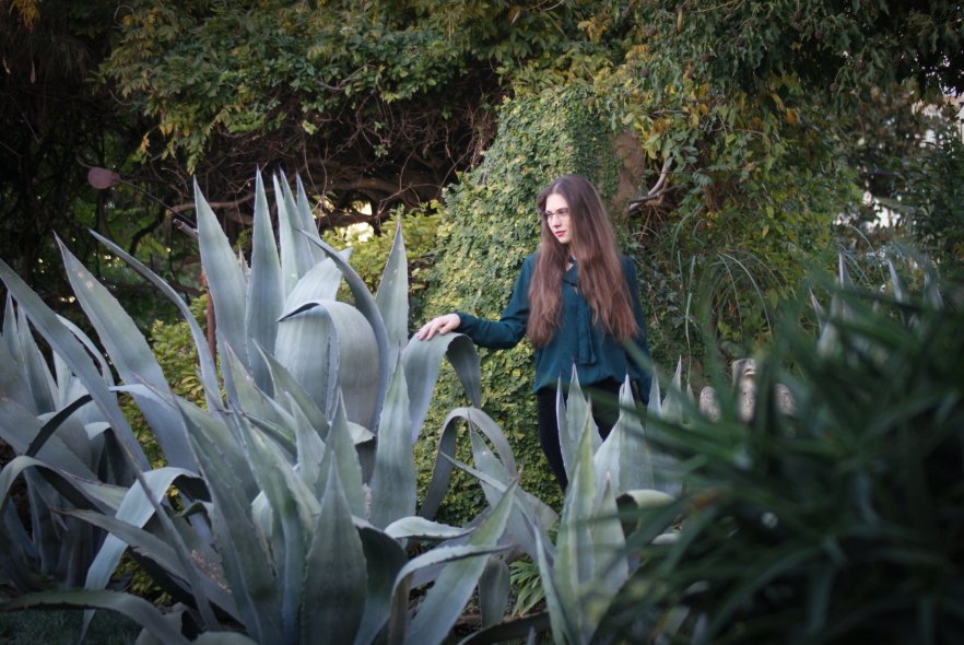 Фитофантазия