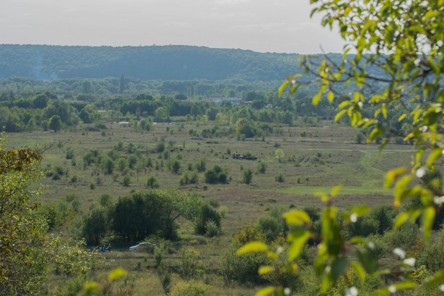 Небесные качели