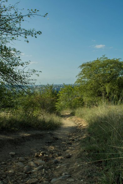 Небесные качели