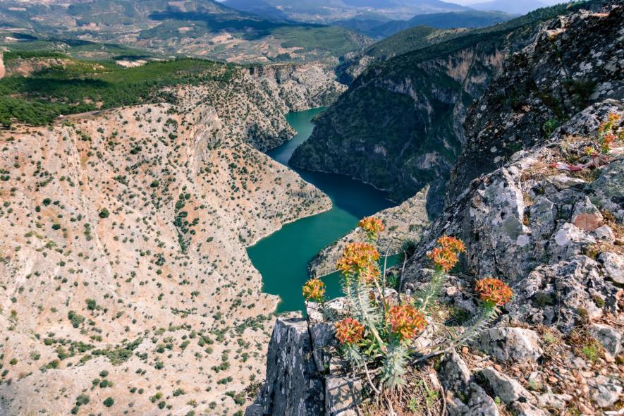 Каньон Арапапышты