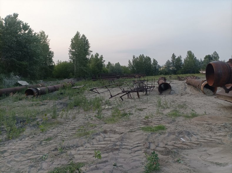 Берег Оби 55