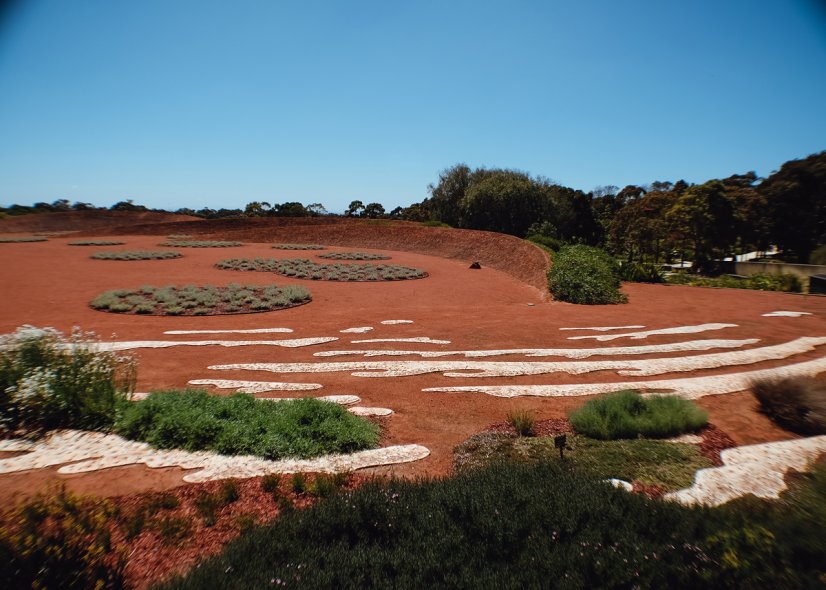 Королевские ботанические сады Кранбурна (Royal Botanic Gardens Cranbourne)