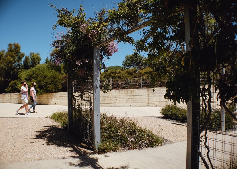 Королевские ботанические сады Кранбурна (Royal Botanic Gardens Cranbourne)