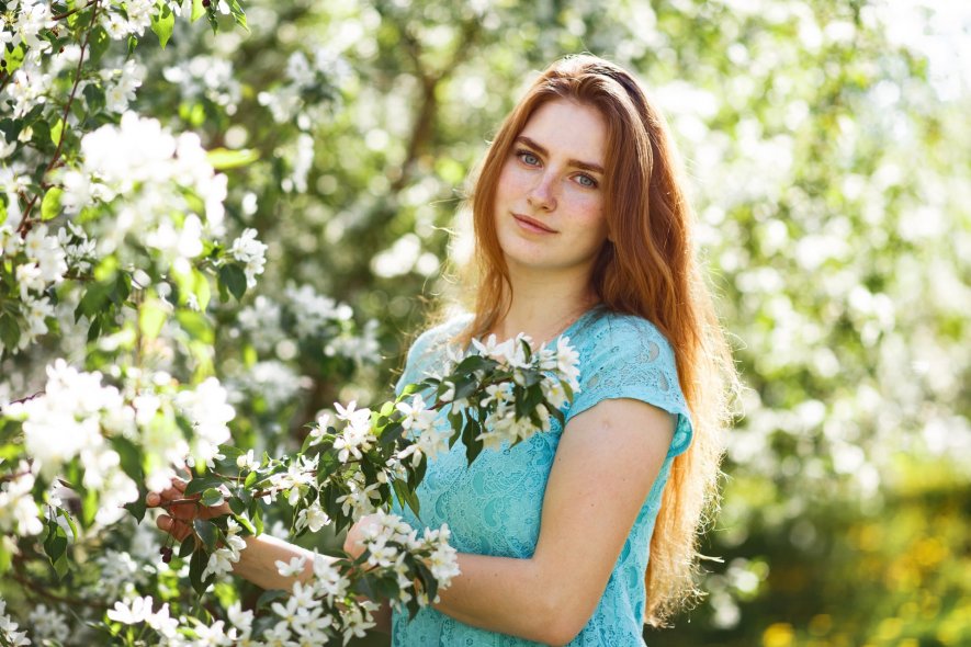 Яблоневая аллея 