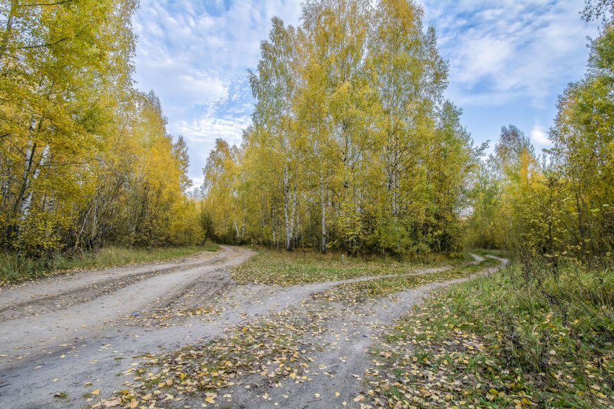 Муромский район