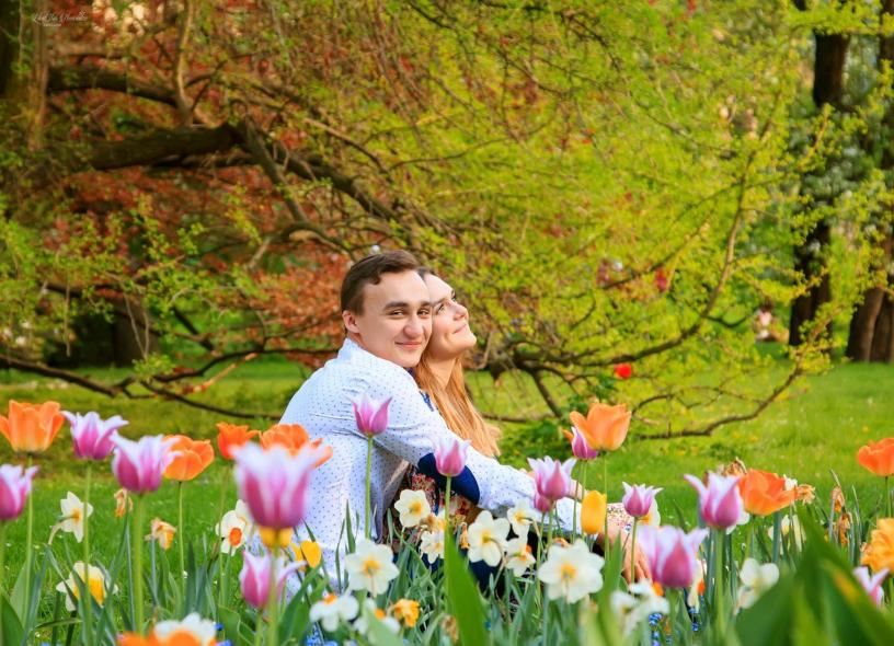 Вояновы сады (Vojanovy sady)