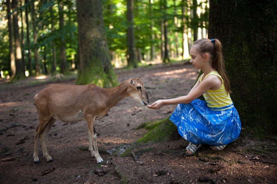 Wildpark Poing