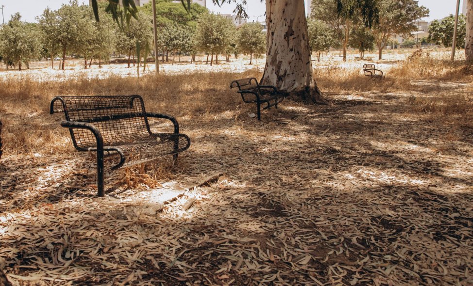 Winter Lake Park