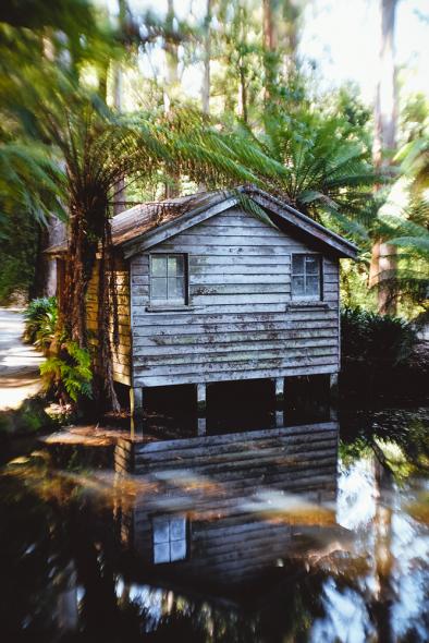 Национальный парк Данденонг Рейнджес (Dandenong Ranges National Park)
