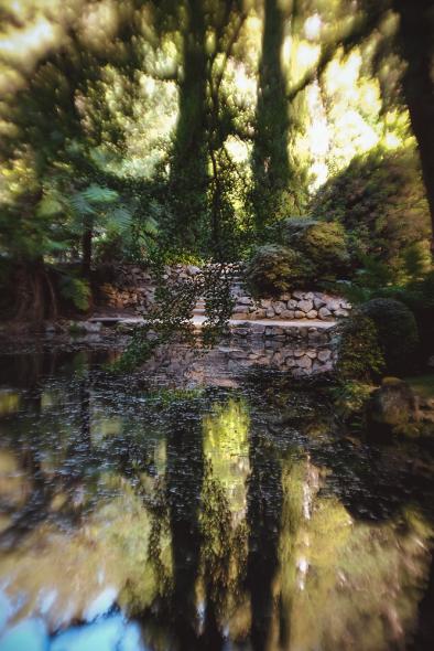 Национальный парк Данденонг Рейнджес (Dandenong Ranges National Park)