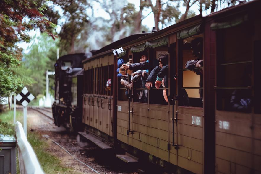 Национальный парк Данденонг Рейнджес (Dandenong Ranges National Park)