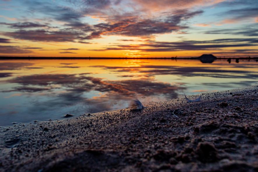 Набережная Финского залива у ЖК 