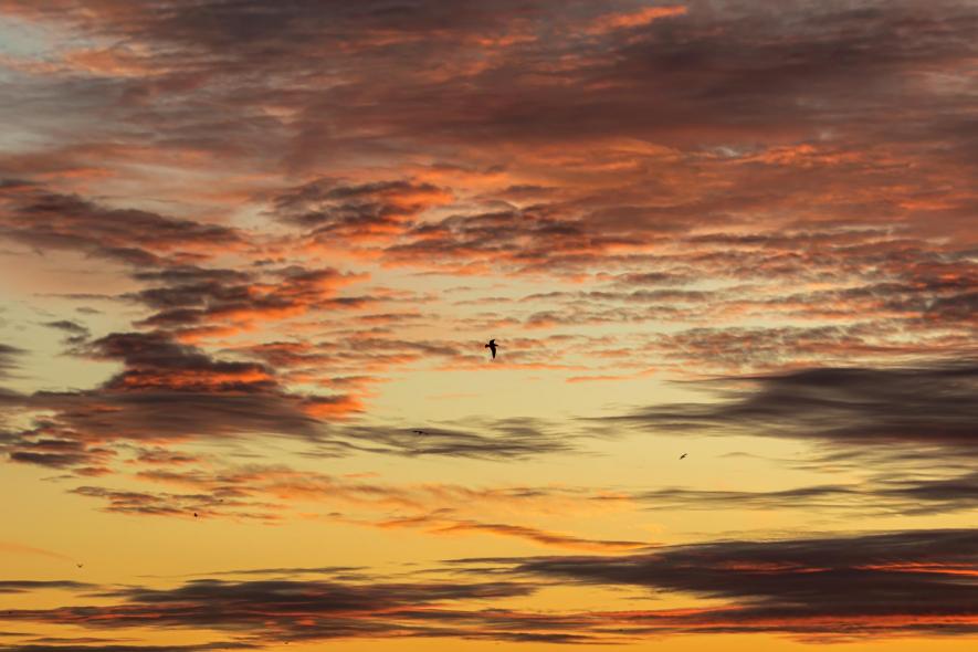 Набережная Финского залива у ЖК 